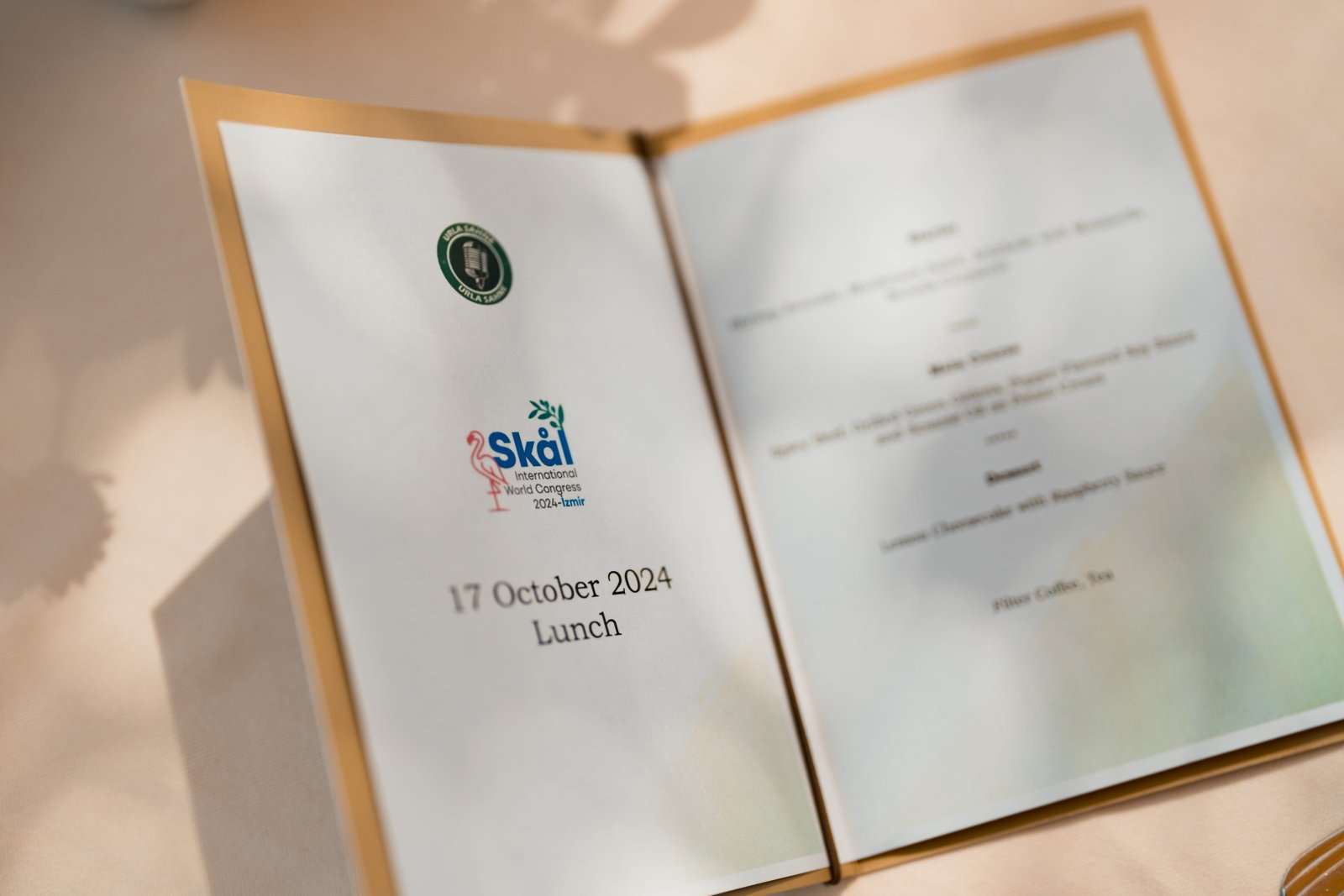 Gallery thumbnail 14